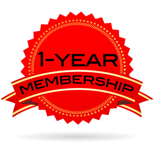 1 Year Prime Membership 2020  (Not Available Now)