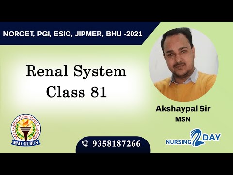 Renal System Class 81