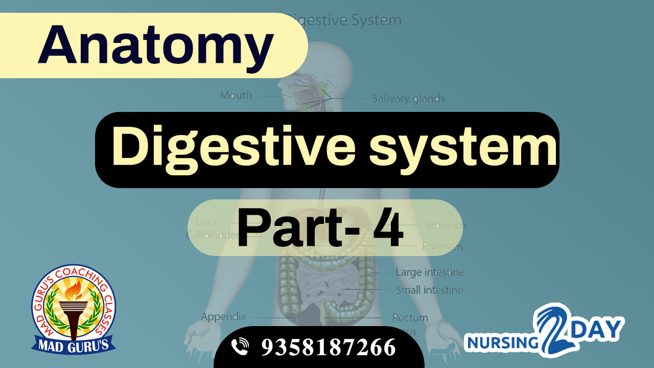 Anatomy || Digestive System Part 4