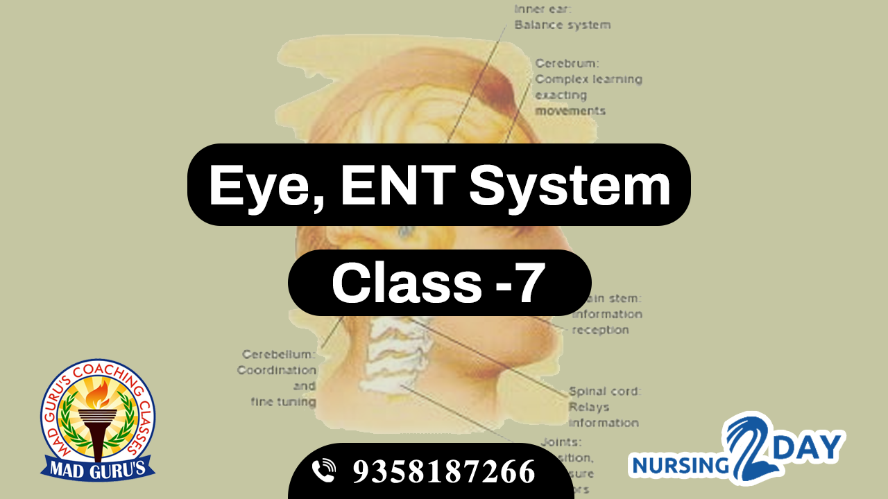 Eye & ENT System Class 7