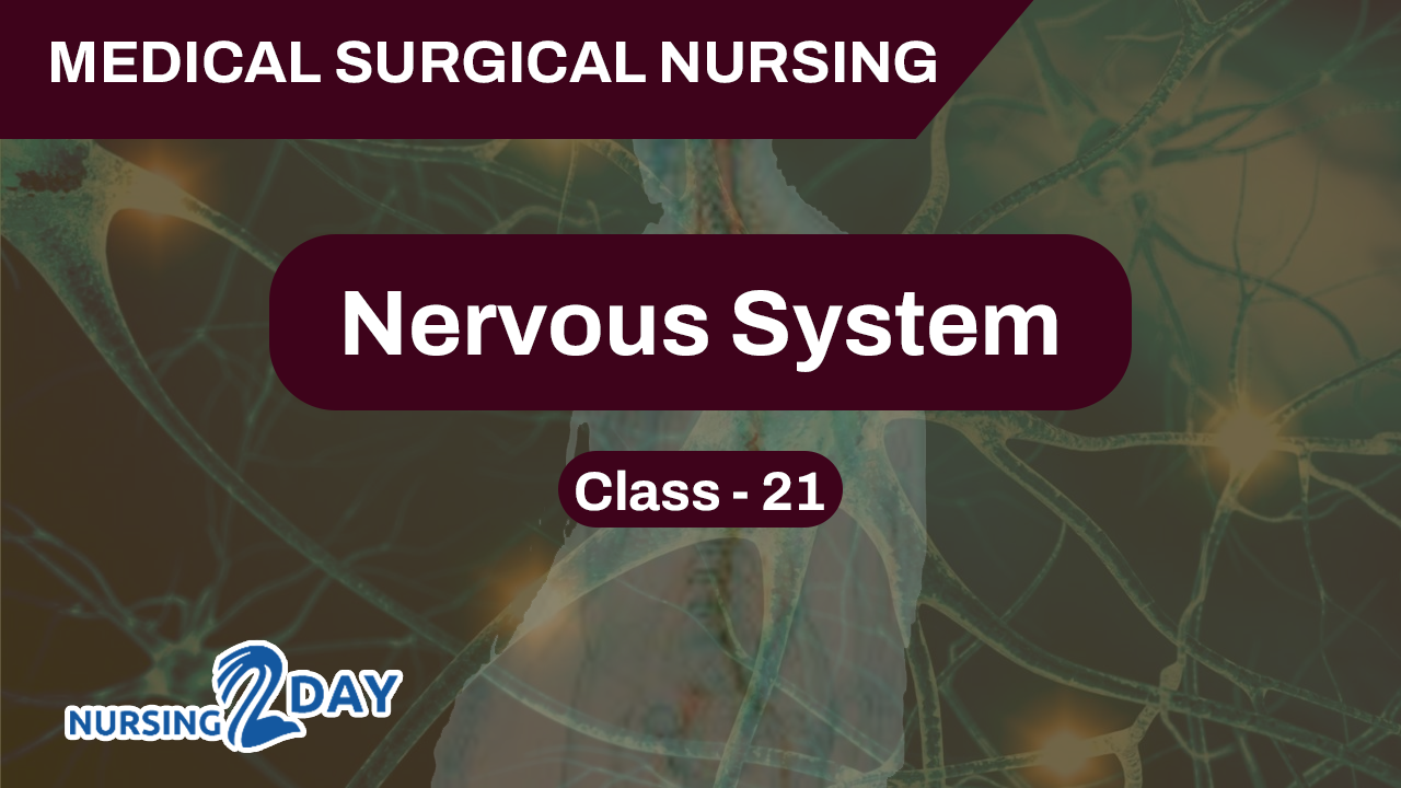 Nervous System Class 21