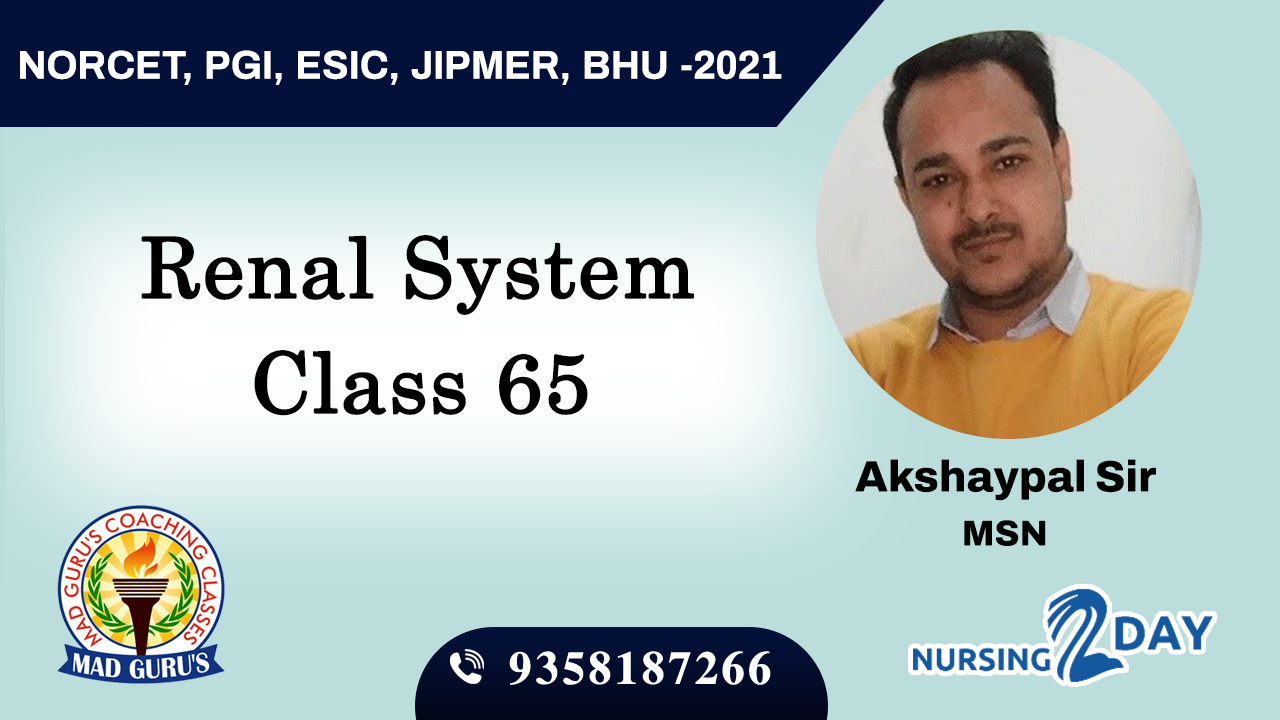 Renal System Class 65
