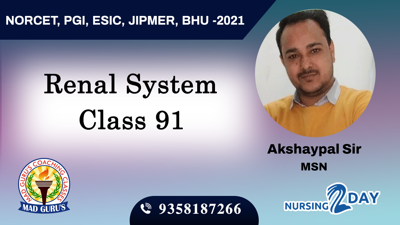 Renal System Class 91
