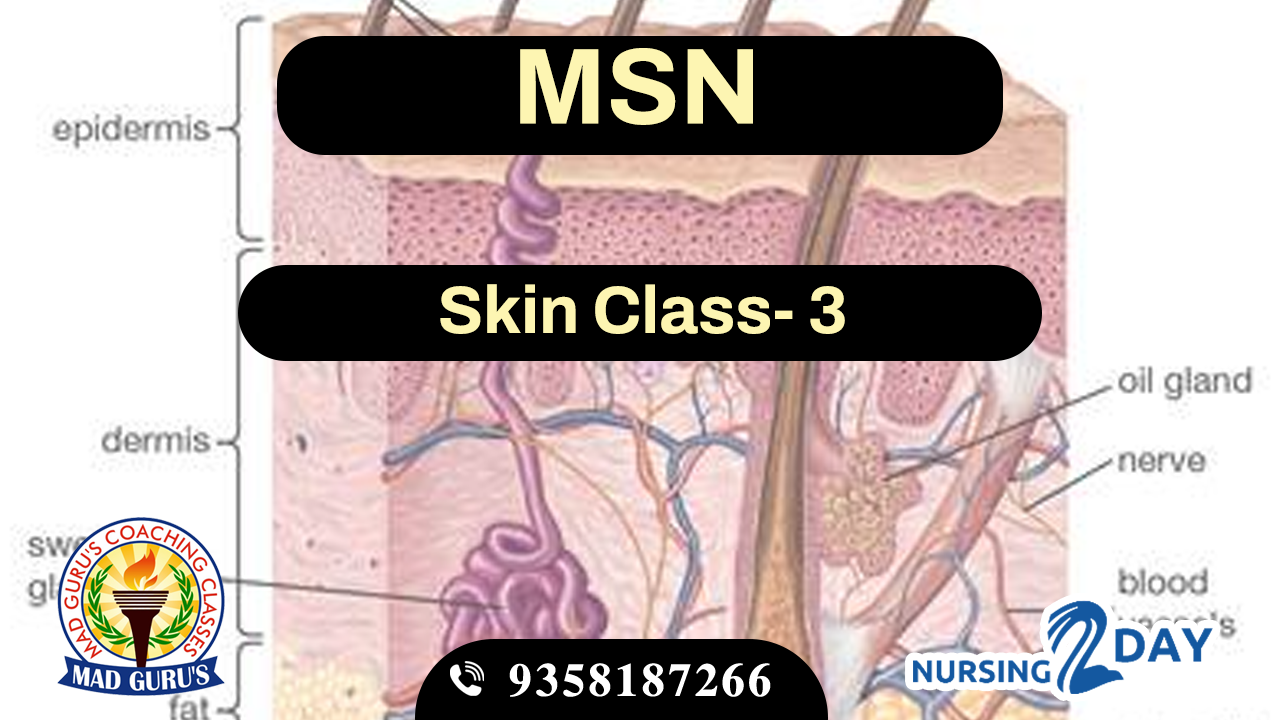 Skin Class 3