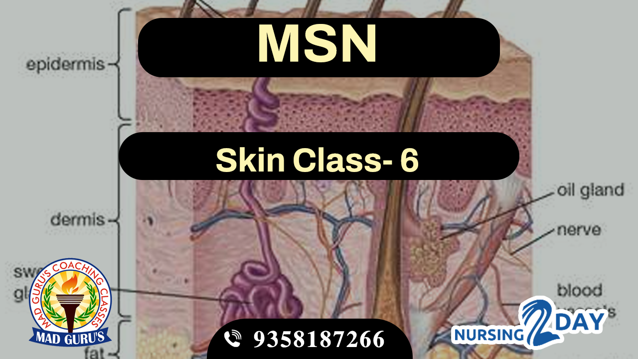 Skin Class 6